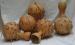gourds.jpg
